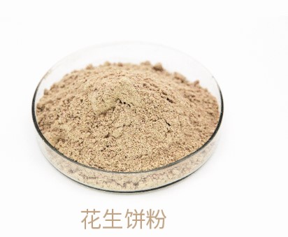 亚游集团AG8(中国)官网 -只为非凡