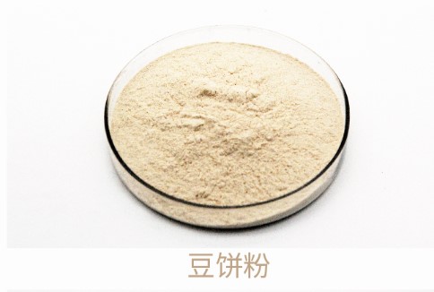 亚游集团AG8(中国)官网 -只为非凡