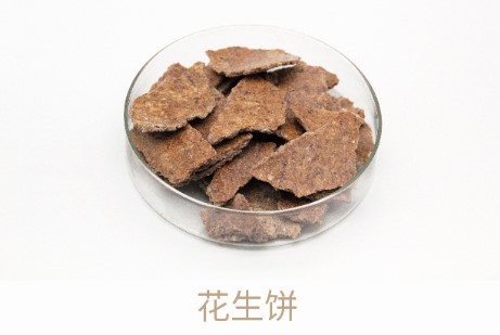 亚游集团AG8(中国)官网 -只为非凡